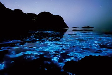 山陰海岸国立公園_ある夜の大浦湾